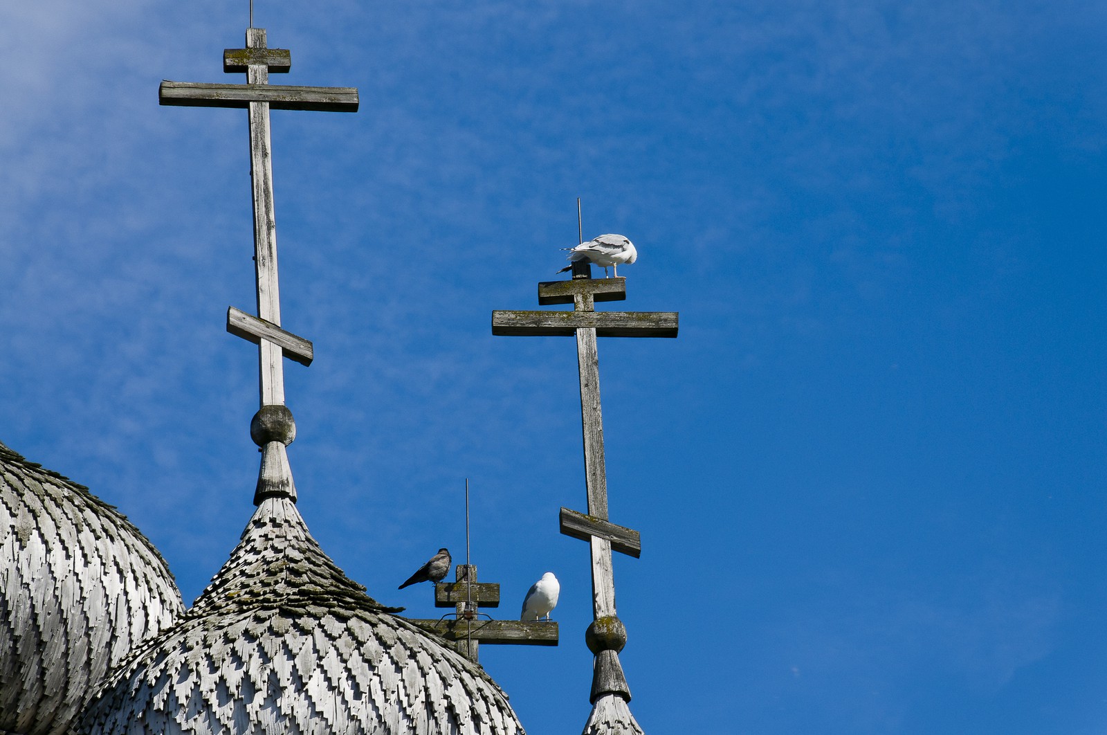 Cathédrale de la Transfiguration
