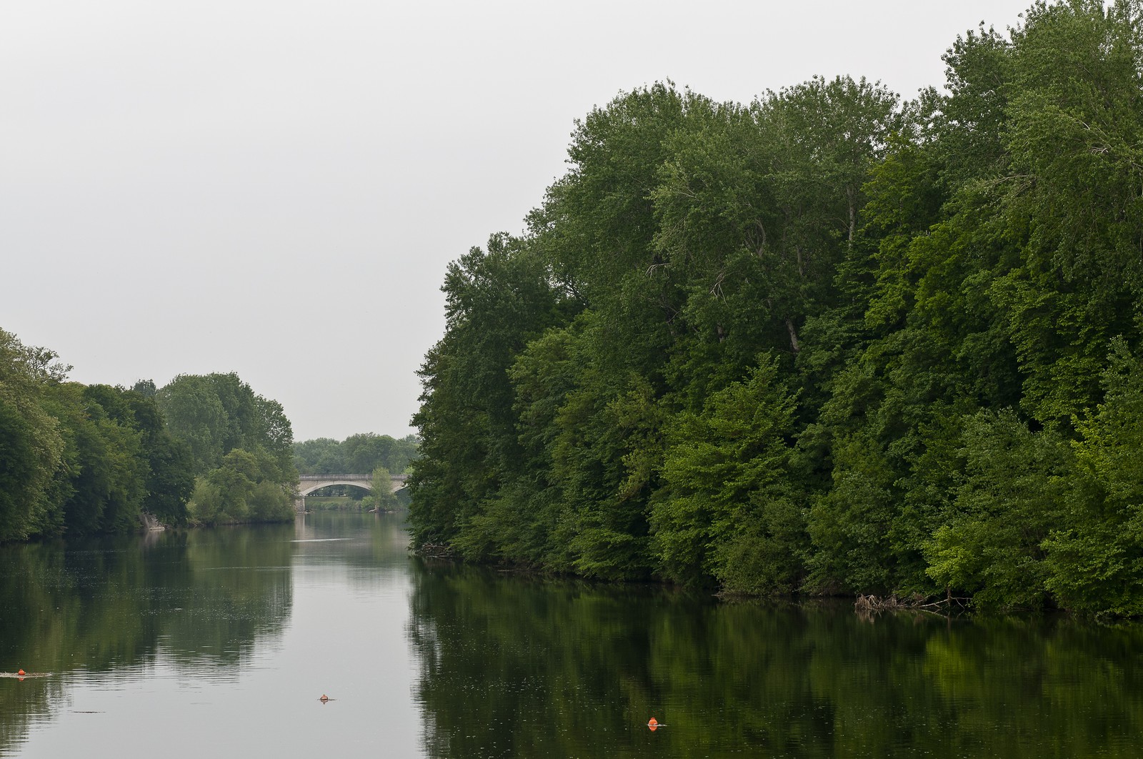 La Loire à Chenonceaux
