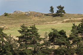 Paysage du Gévaudan