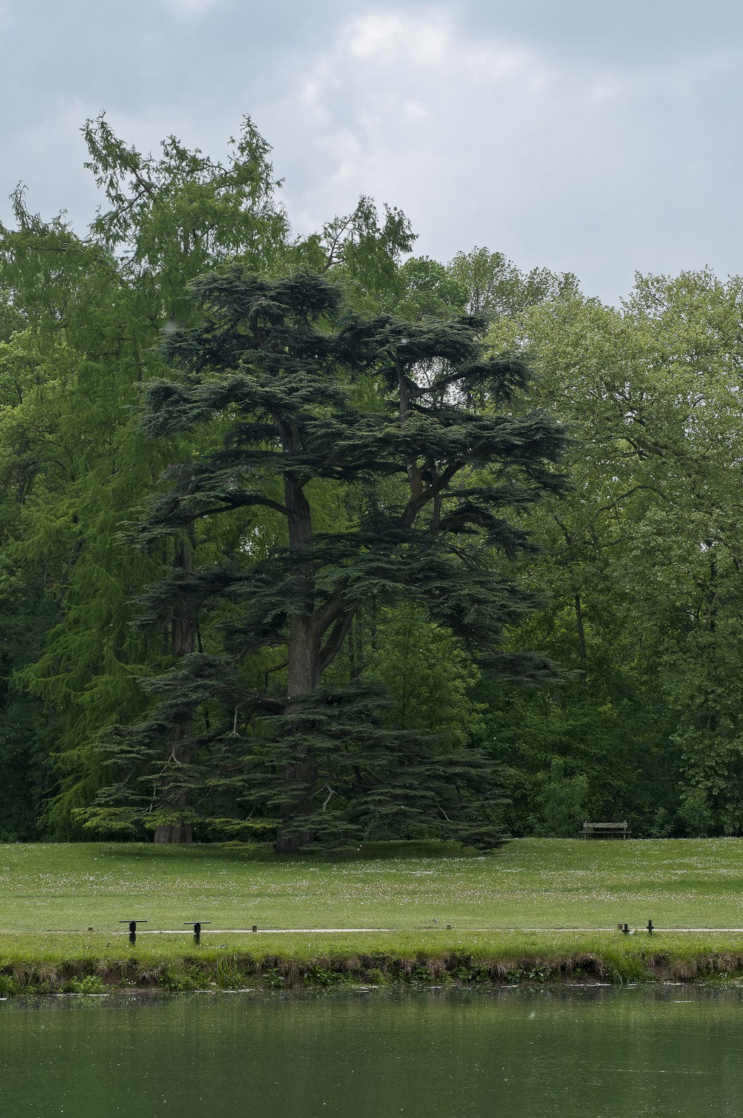 Parc d'Azay-le-Rideau