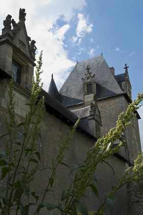 Château de Fougères-sur-Bièvre