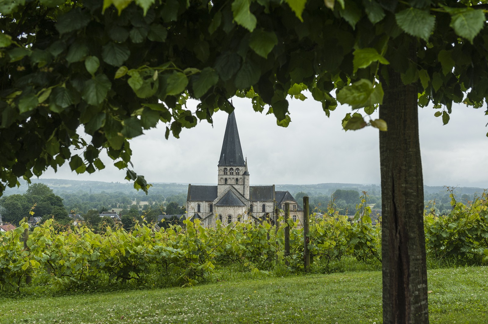 Abbatiale Saint-Georges