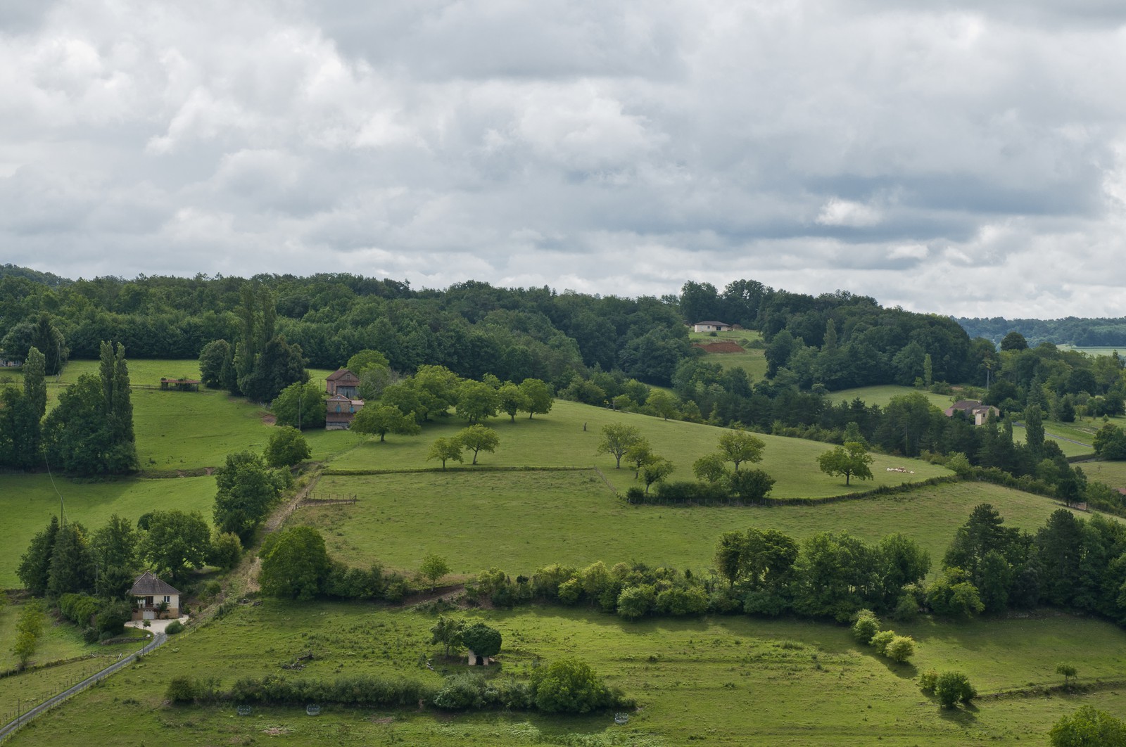 Collines du Périgord noir