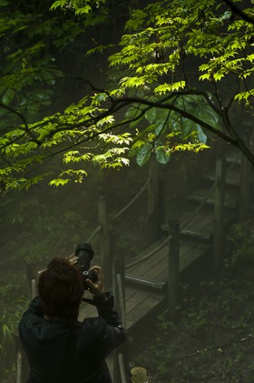 Château de Chaumont, le parc