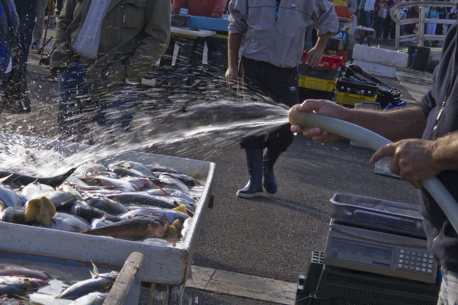Marché aux poissons