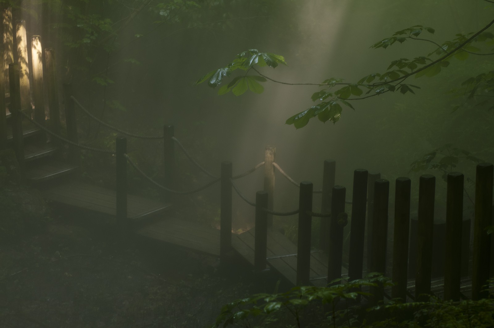 Château de Chaumont, le parc