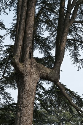 Château de Chaumont, le parc