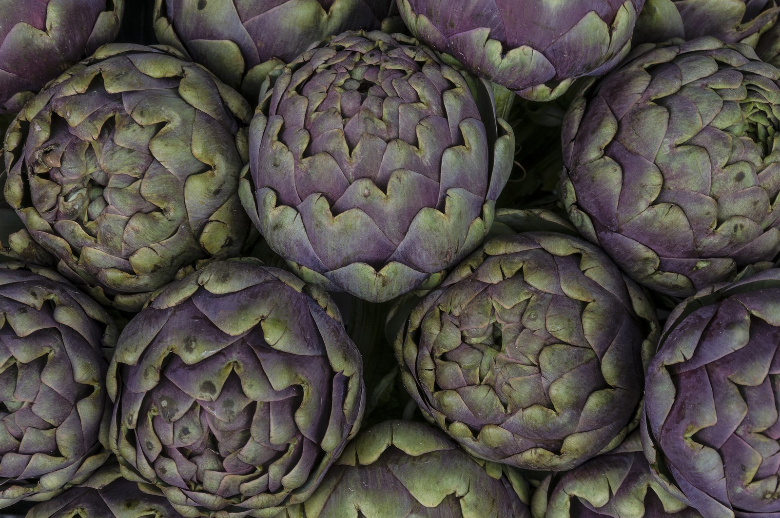 Artichauts