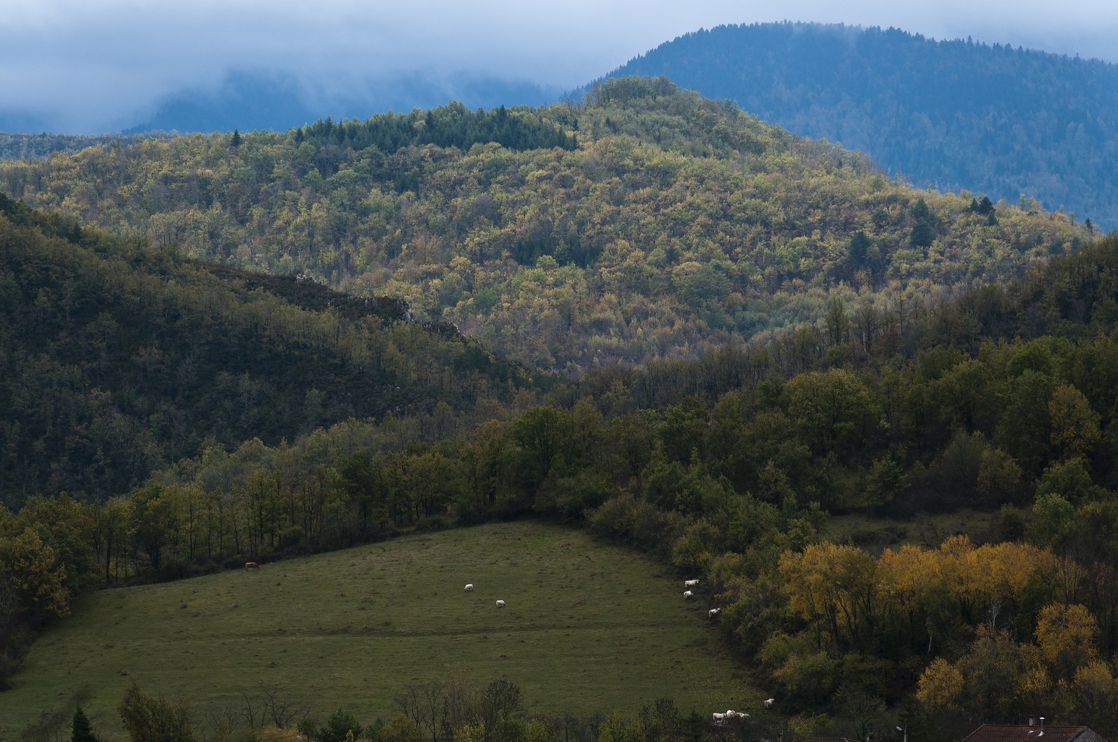 Paysage en Ariège