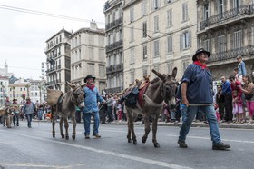 TransHumance : ânes devant la foule