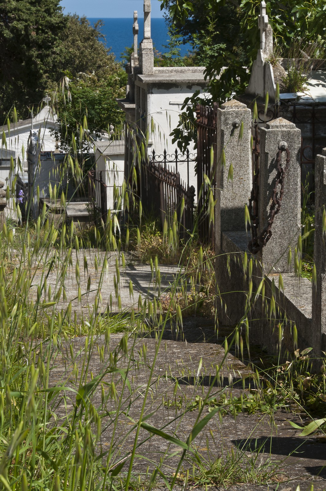Cimetière d'Erbalunga
