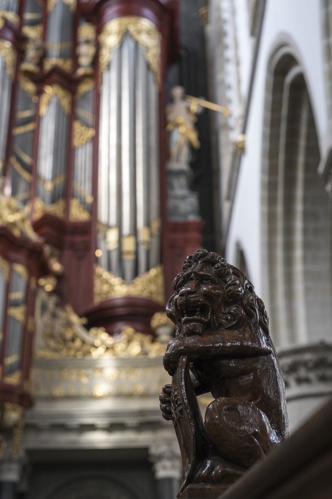 Le lion de St. Bavon