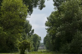 Parc d'Azay-le-Rideau