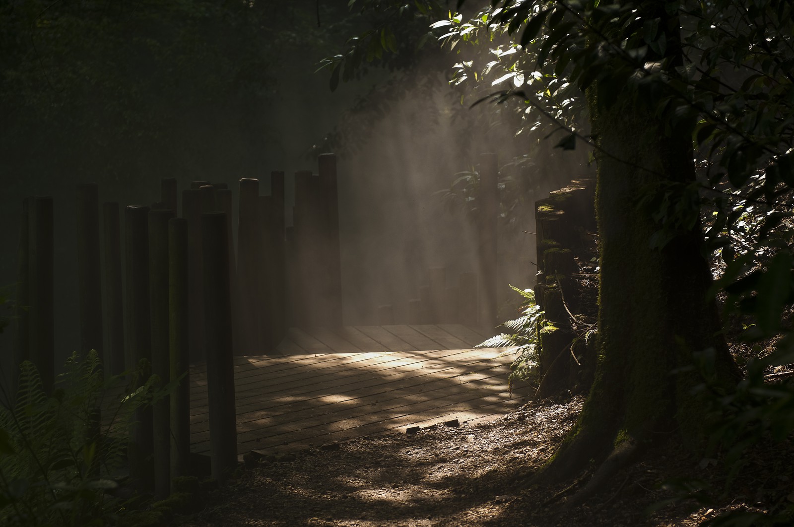 Château de Chaumont, le parc