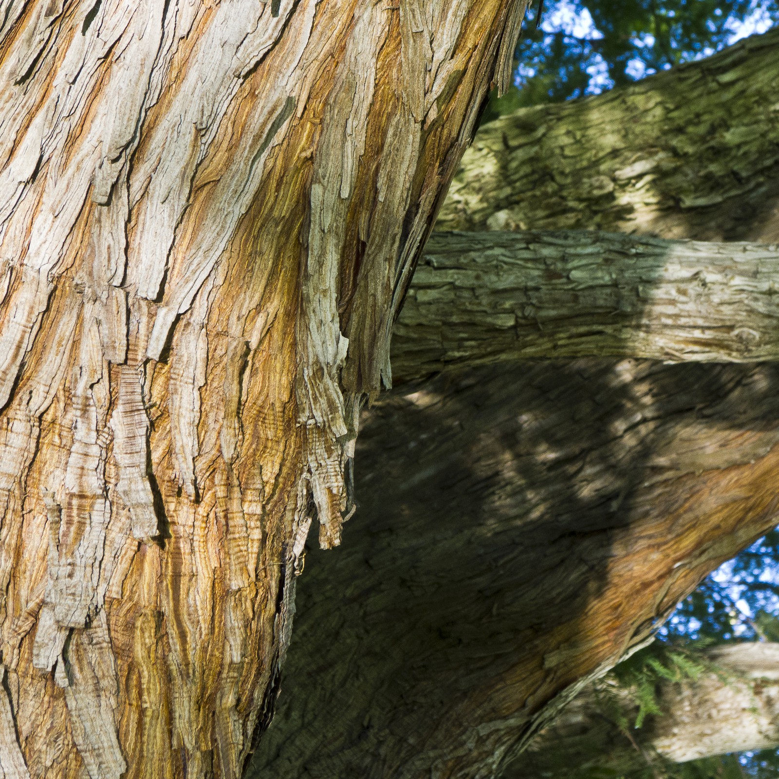 Un chantier dans la nuit