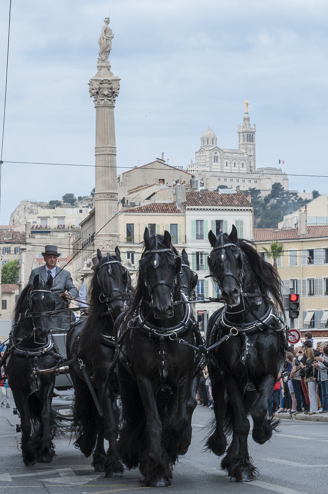 TransHumance. Les chevaux noirs