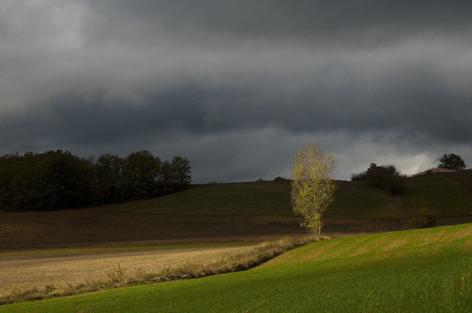 Paysage en Ariège