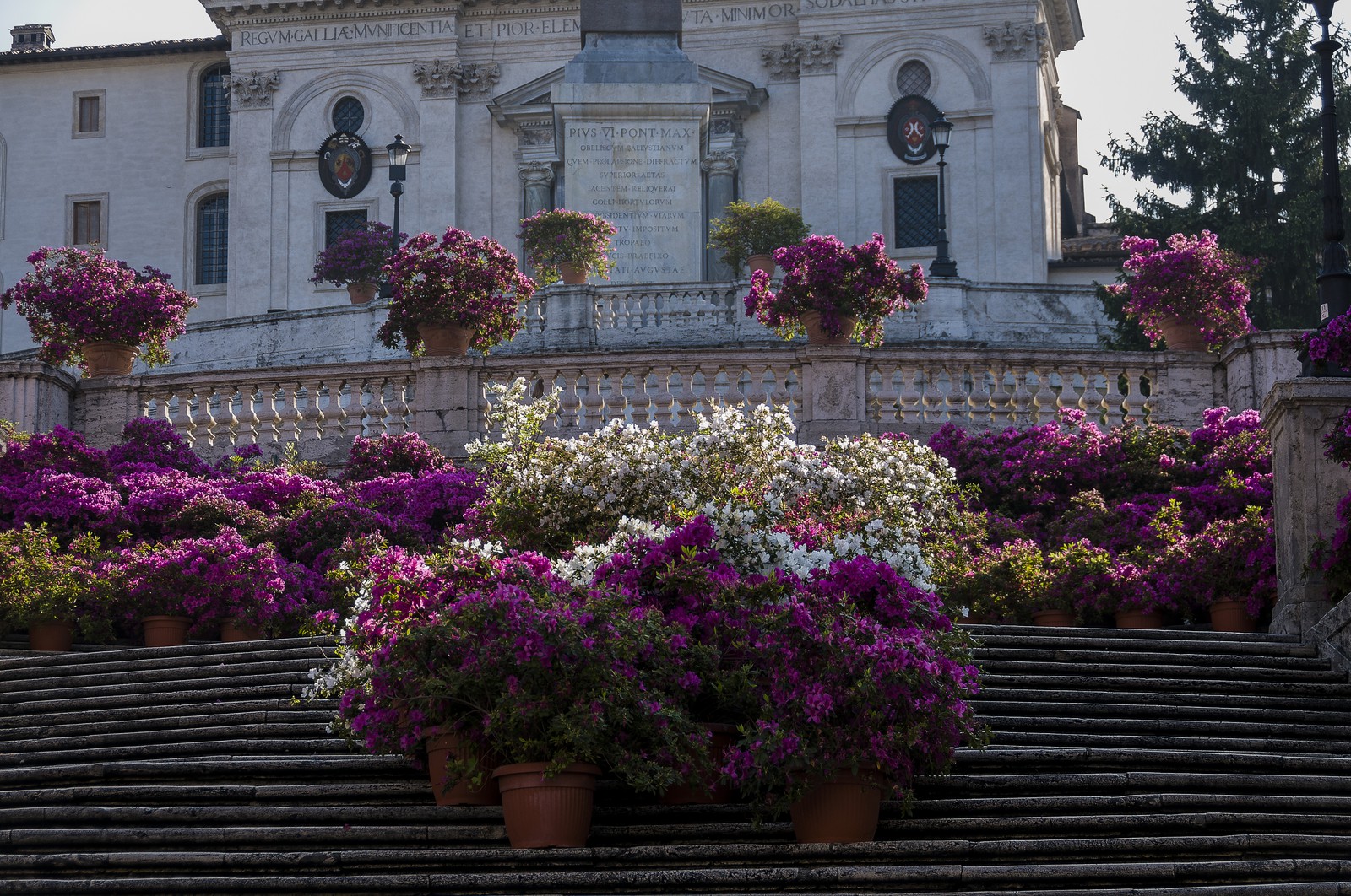 Escaliers de la Trinité des Monts
