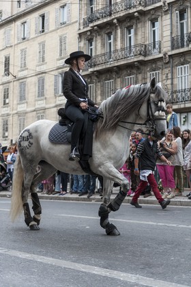 TransHumance : le cheval tatoué