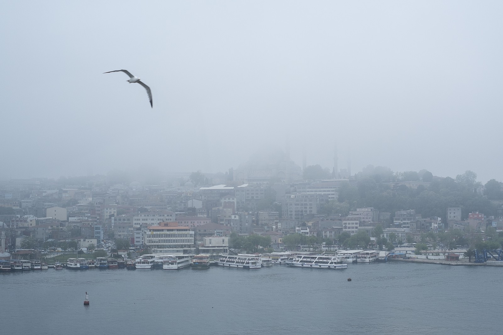 Brouillard sur la Corne d'Or