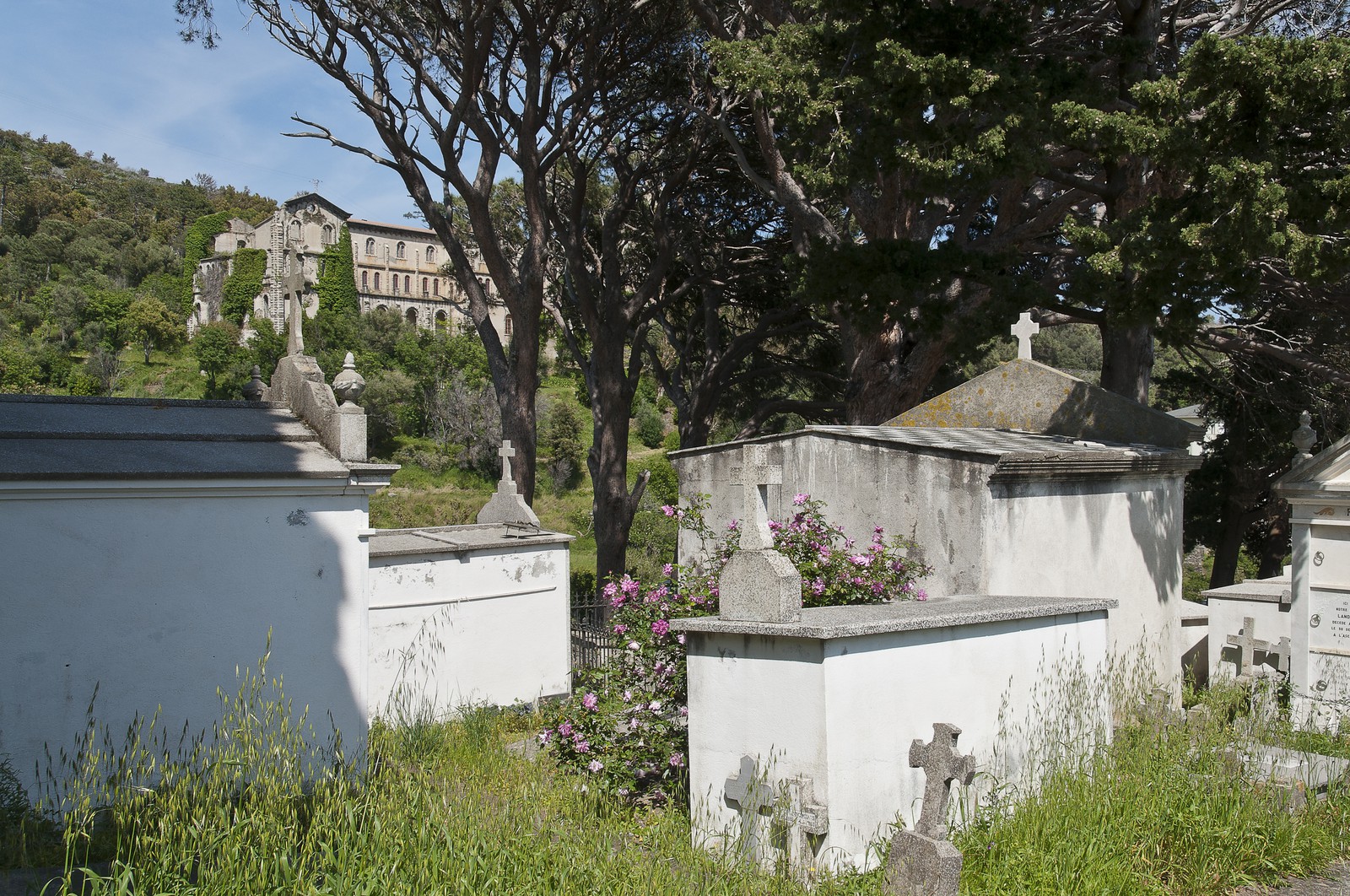 Cimetière d'Erbalunga