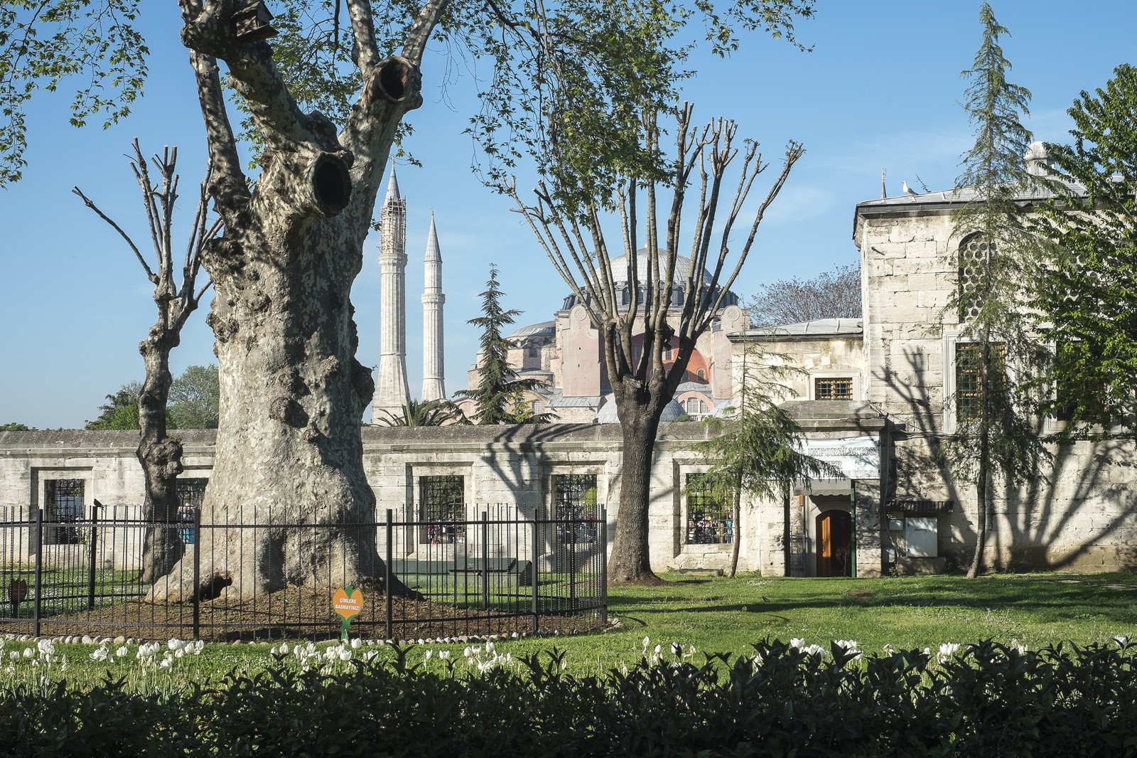 La basilique Sainte-Sophie
