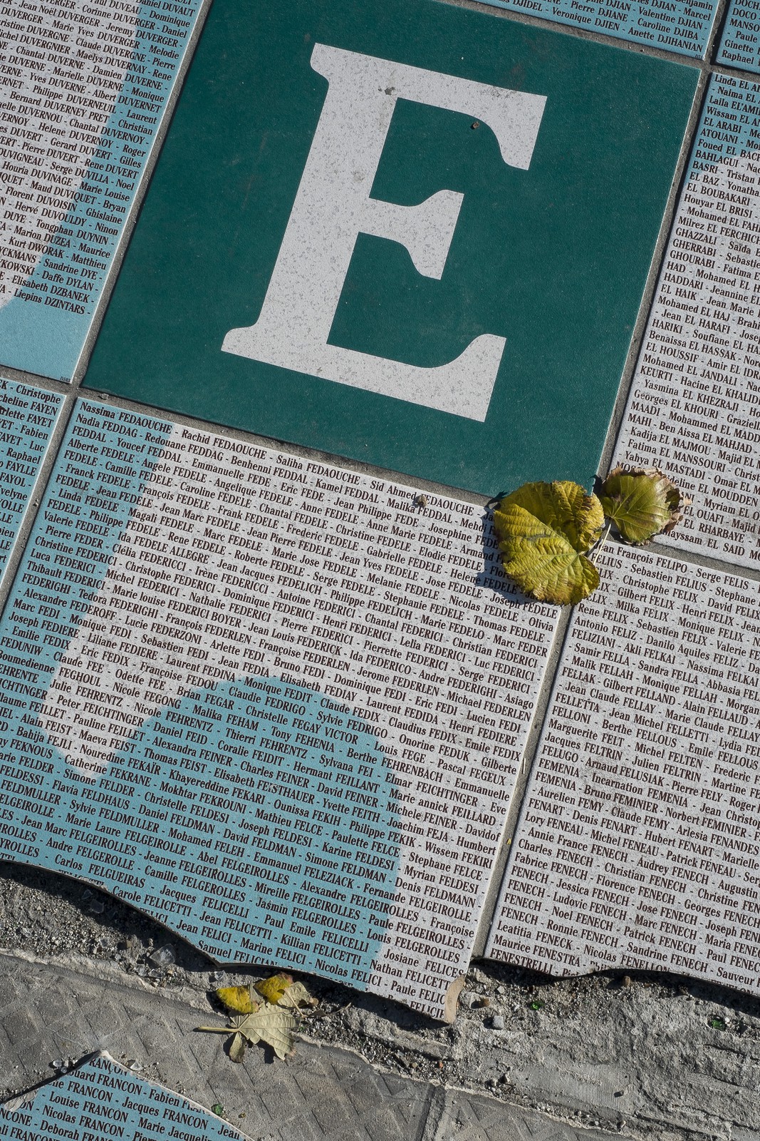 L'arbre de l'Espérance