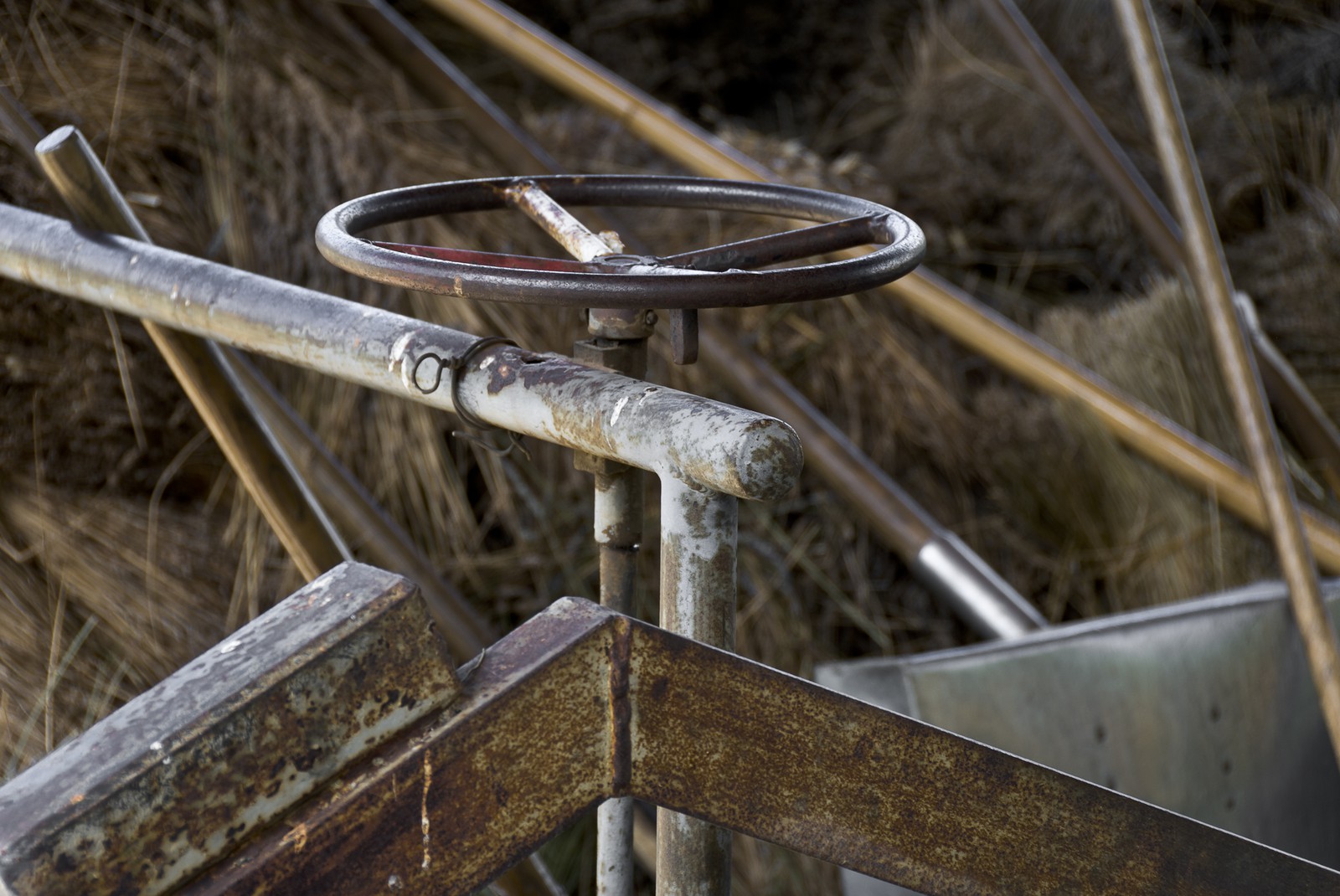 Distillerie de lavande