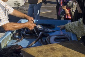 Marché aux poissons