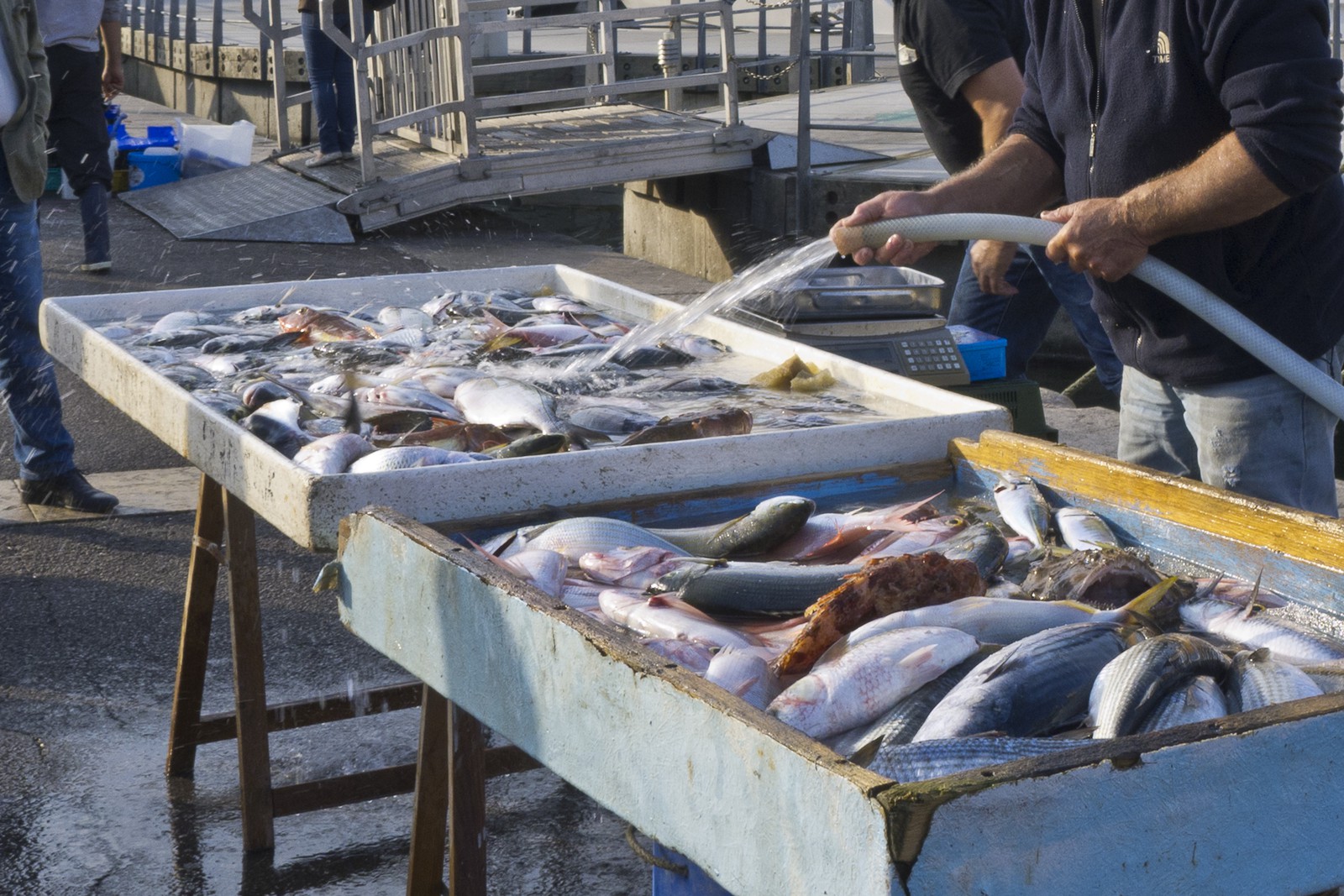Marché aux poissons
