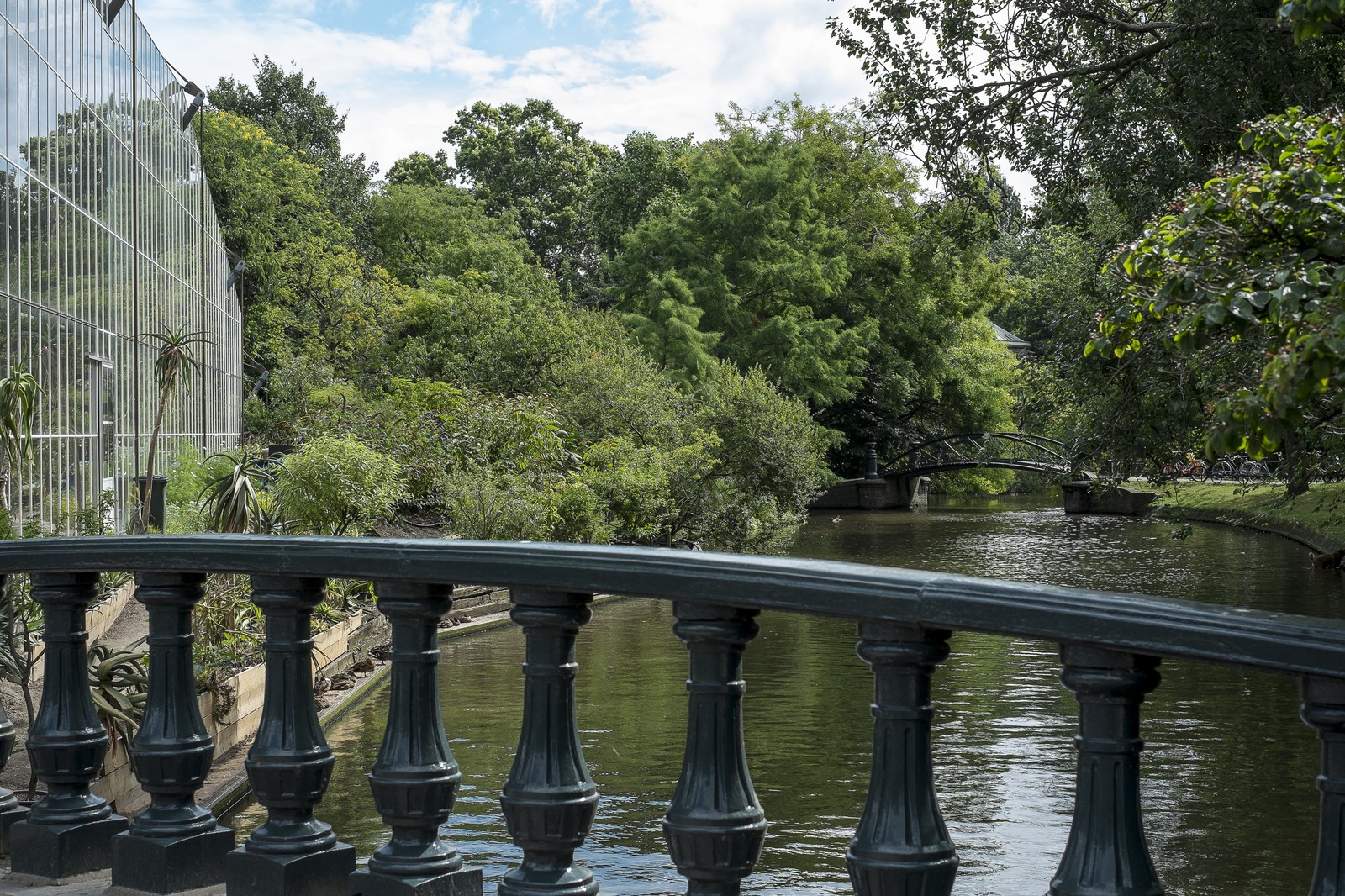 Canal sous les arbres