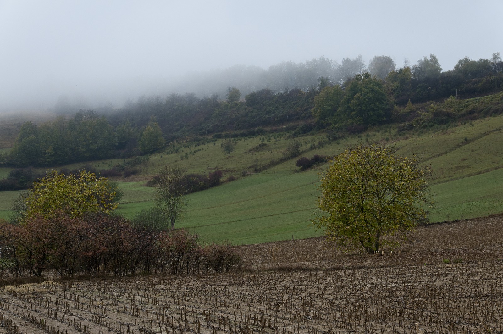 Paysage en Ariège
