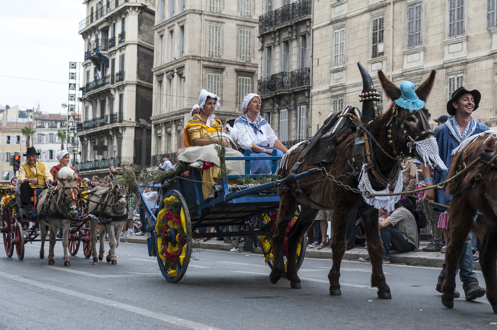 TransHumance : charrettes tirées par des ânes