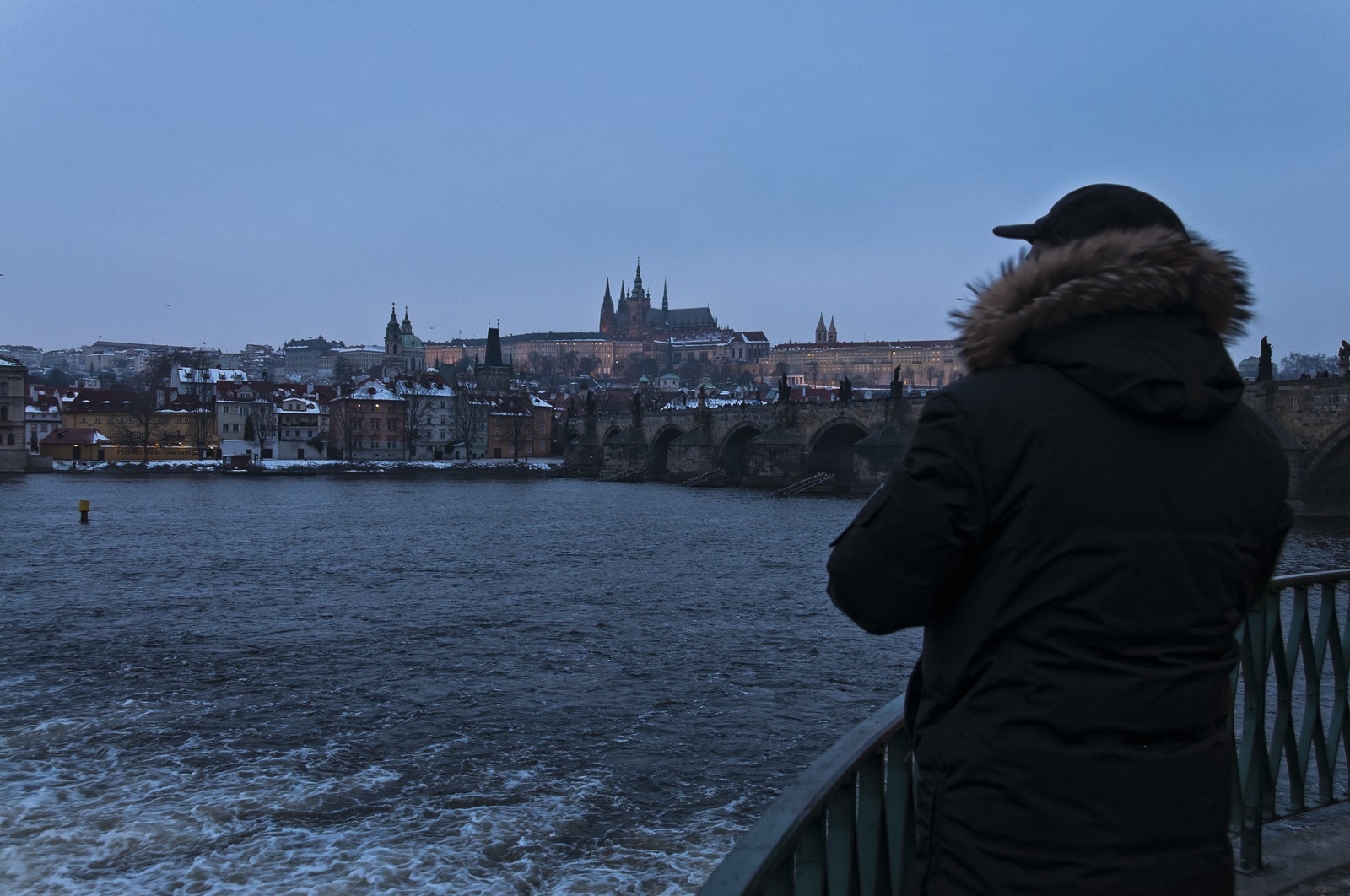 Vue sur la Vltava