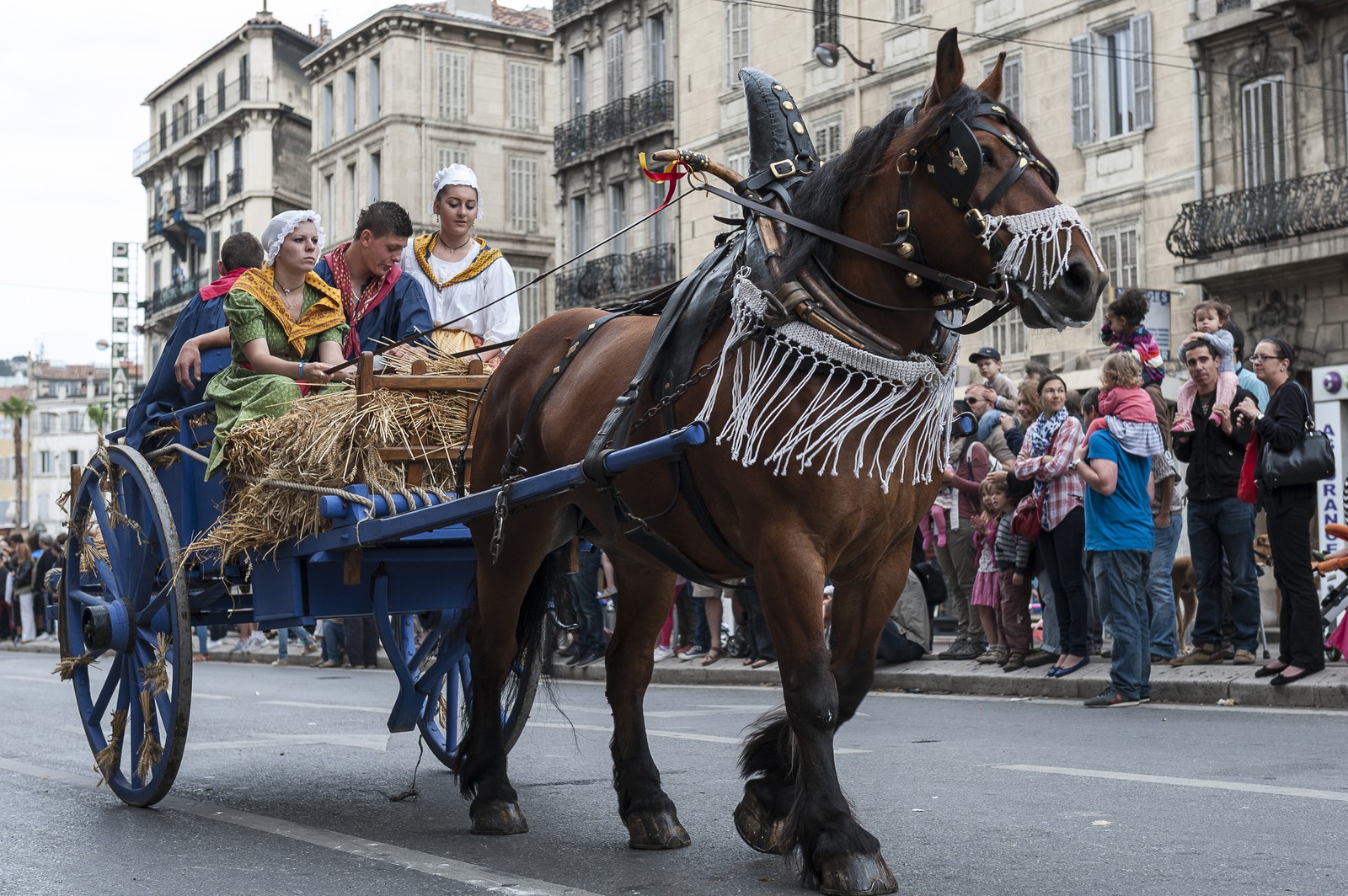 TransHumance : les Provençaux
