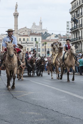 TransHumance : cavaliers
