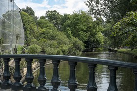 Canal sous les arbres