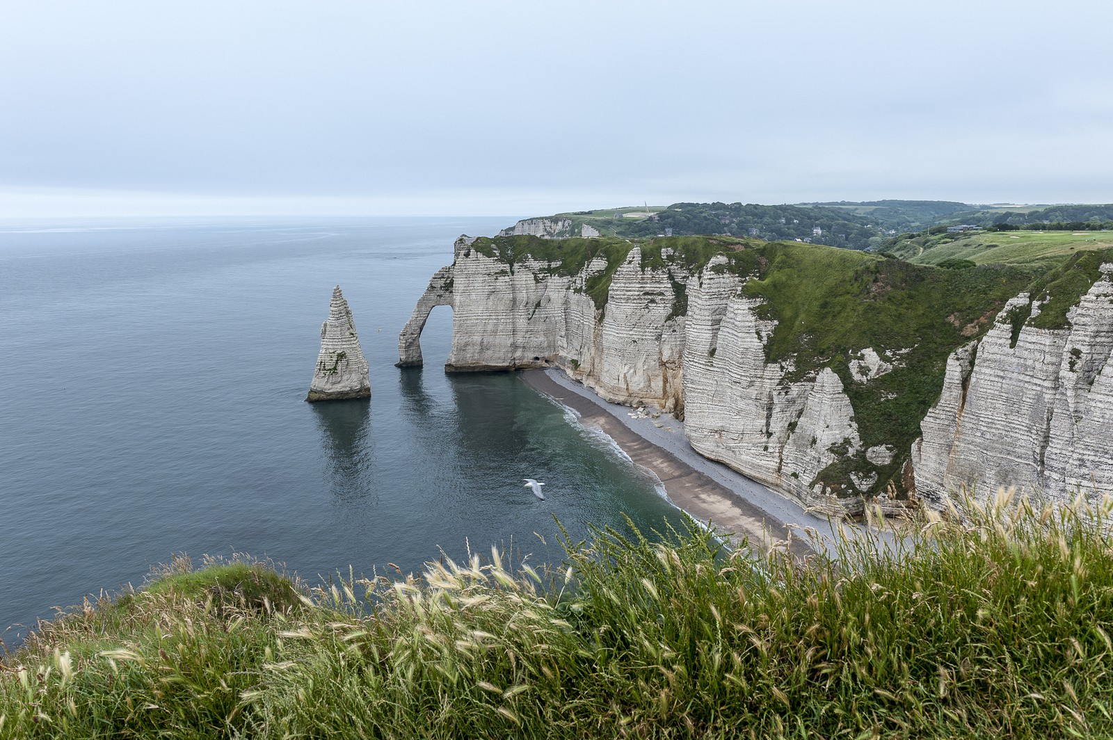 Les falaises d'Etretat