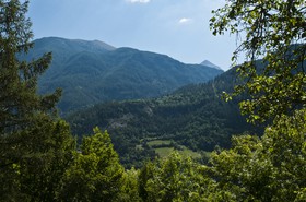 Montagnes et forêts