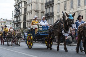 TransHumance : charrettes tirées par des ânes