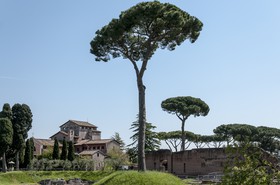 Le couvent de Saint-Bonaventure
