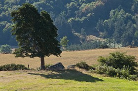 Paysage de Haute-Loire