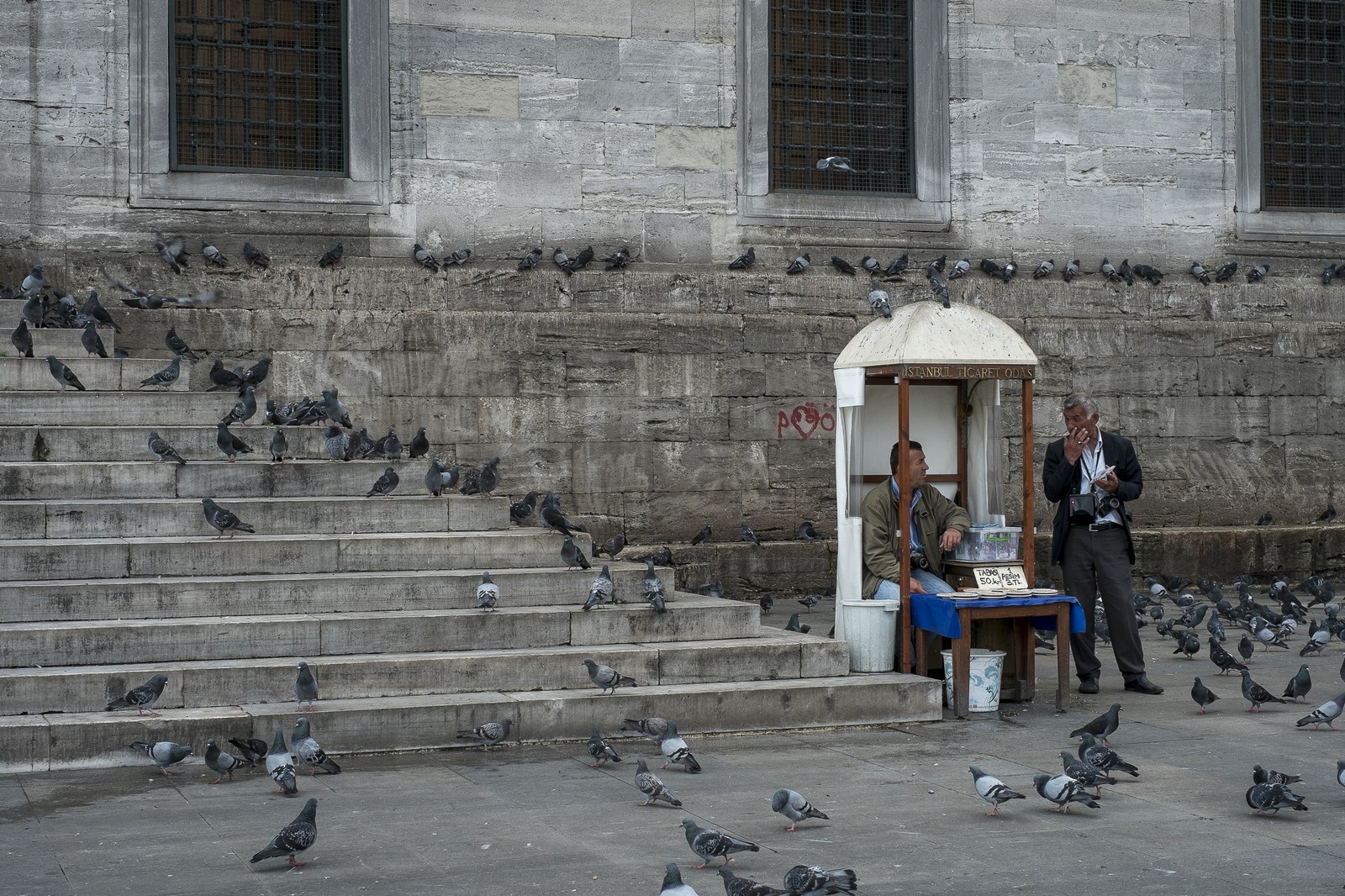 Le parvis aux pigeons