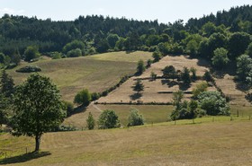 Paysage de Haute-Loire