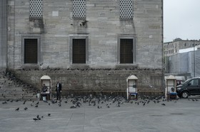 Le parvis aux pigeons