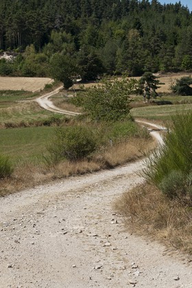 Chemin vers les bois