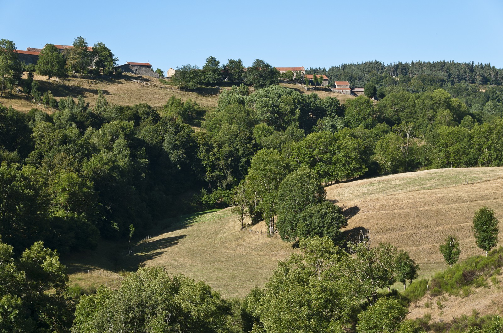 Vallon boisé et maisons d village au sommet de la pente. - Wooded valley and village houses at the top of the slope.