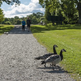 La traversée du chemin