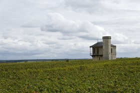 Vignoble du Clos de Vougeot