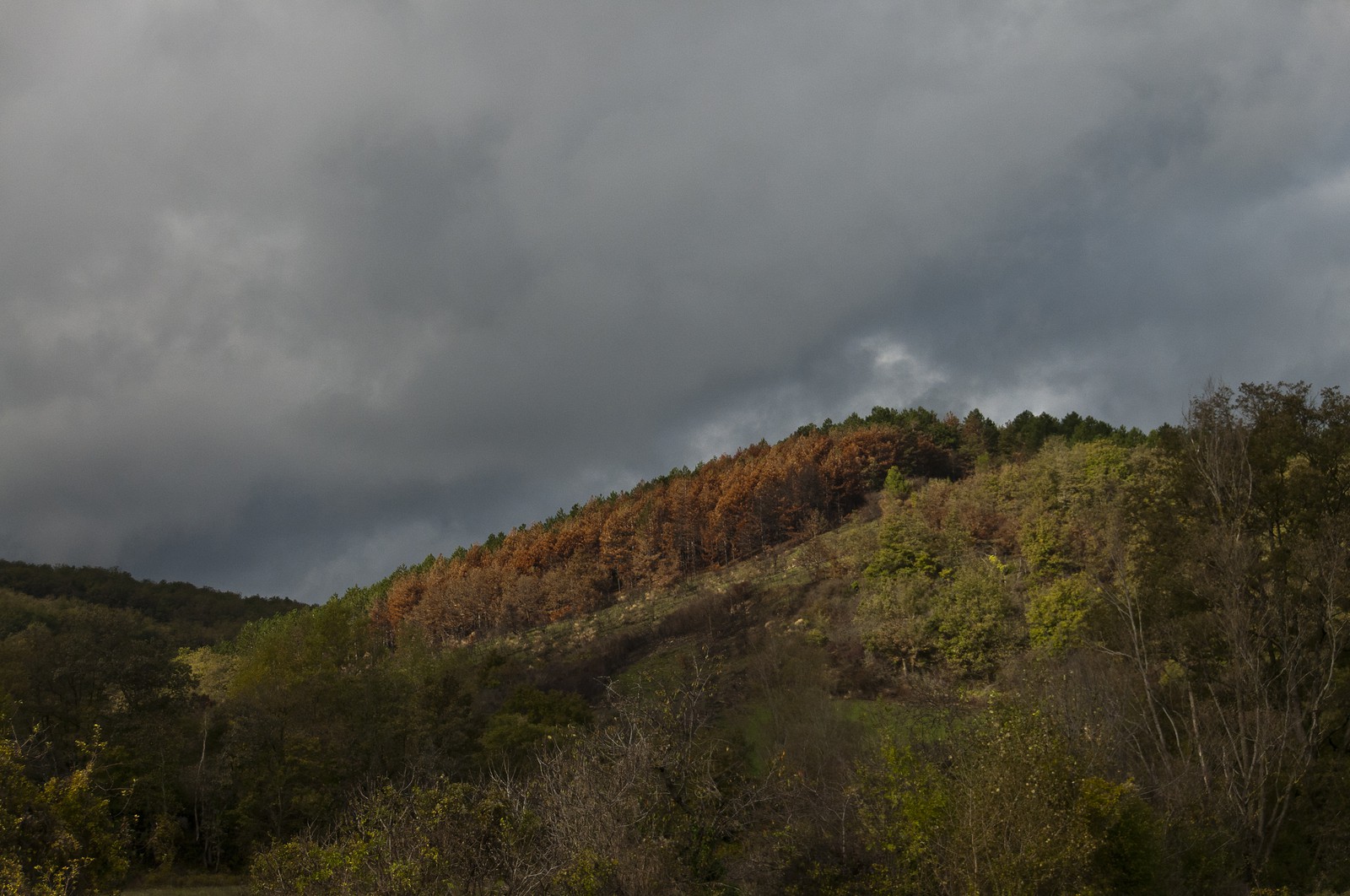 Paysage en Ariège